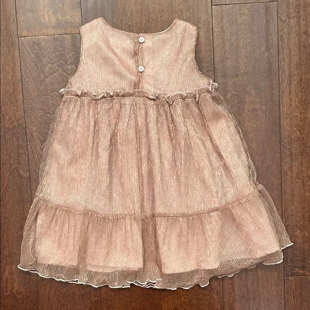 Gymboree Girl’s Shimmering Copper Special Occasion Party Dress, Size 18-24M